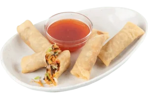 Vegetable Spring Rolls web