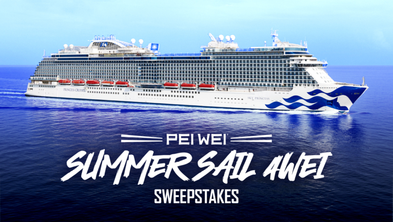 CRUISE GIVEAWAY ALERT🚢Enter for a Chance to WIN a Princess Cruise!